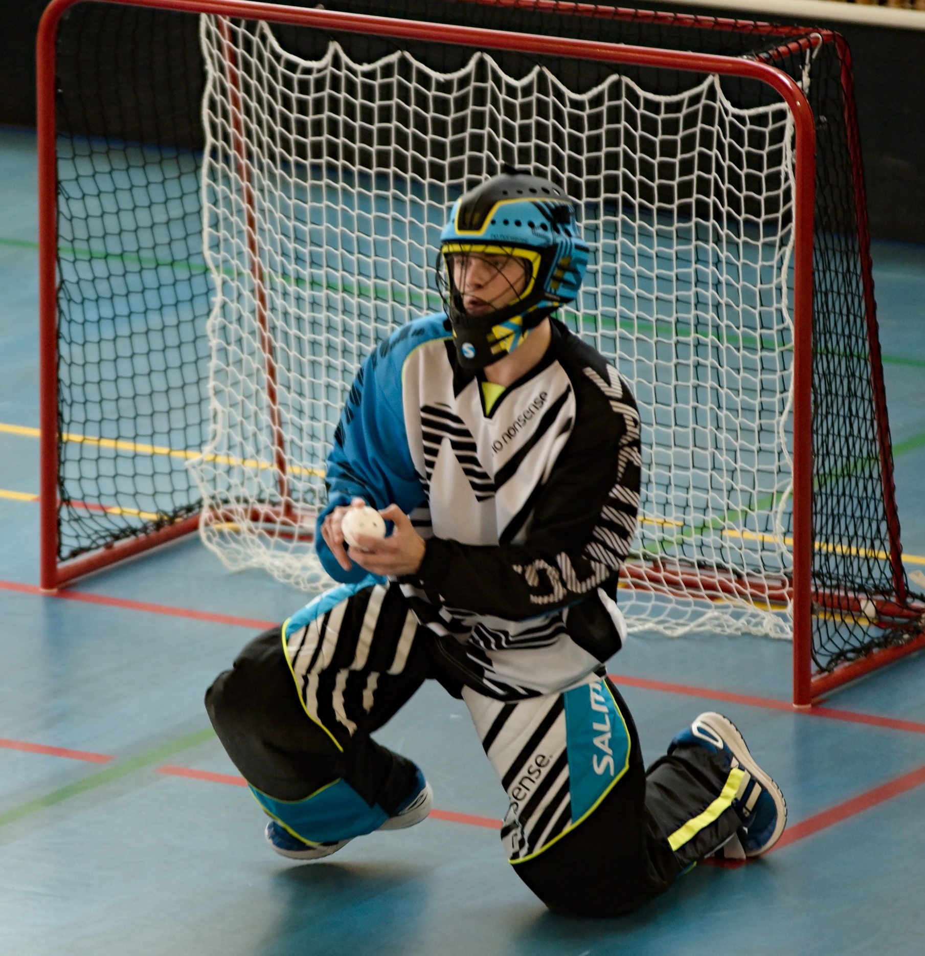 JunciLedec241015 026